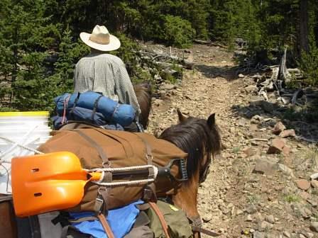 Pete riding Siggi and ponying Signy